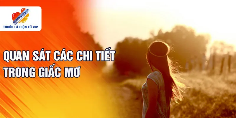 Quan sát các chi tiết trong giấc mơ