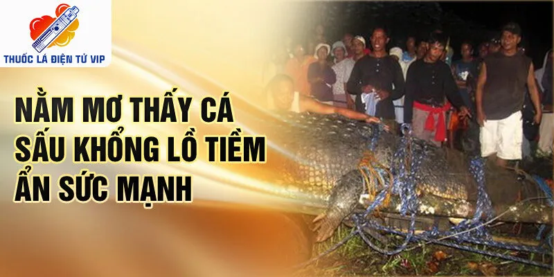 Nằm mơ thấy cá sấu khổng lồ tiềm ẩn sức mạnh