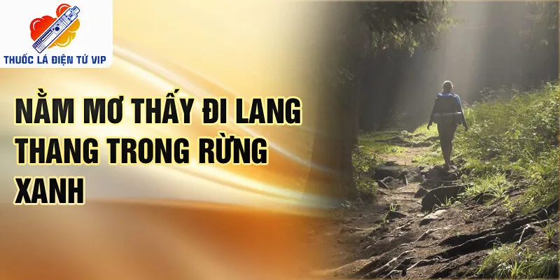 Nằm mơ thấy đi lang thang trong rừng xanh