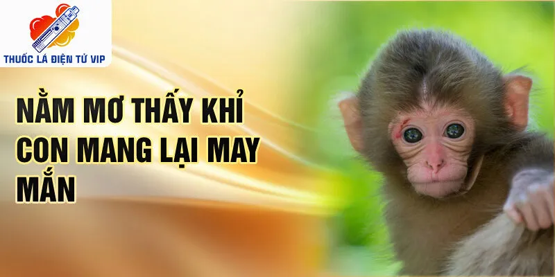 Nằm mơ thấy khỉ con mang lại may mắn