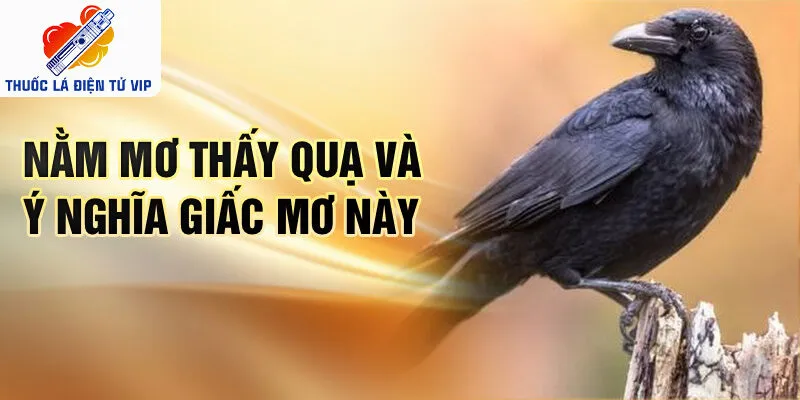 Nằm mơ thấy quạ và ý nghĩa giấc mơ này