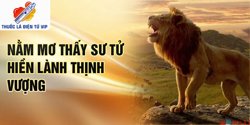Nằm mơ thấy sư tử hiền lành thịnh vượng