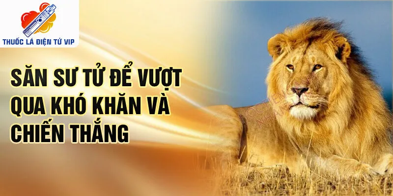 Săn sư tử để vượt qua khó khăn và chiến thắng