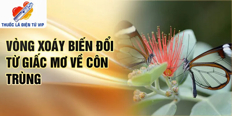 Vòng xoáy biến đổi từ giấc mơ về côn trùng