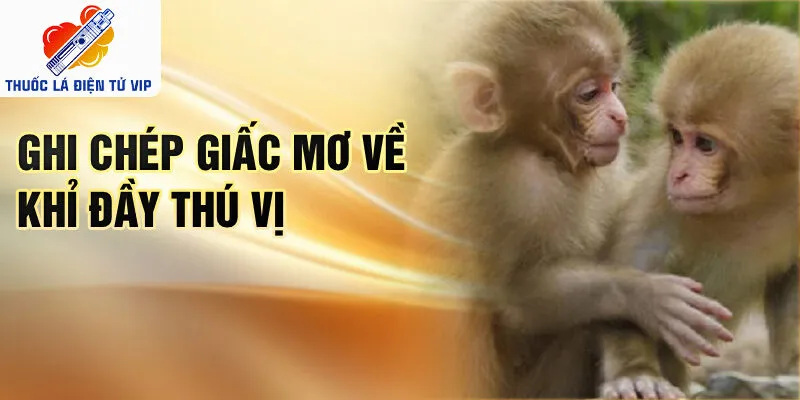 Ghi chép giấc mơ về khỉ đầy thú vị