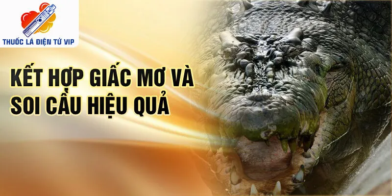 Kết hợp giấc mơ và soi cầu hiệu quả