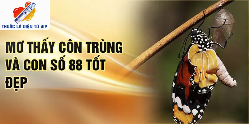 Mơ thấy côn trùng và con số 88 tốt đẹp