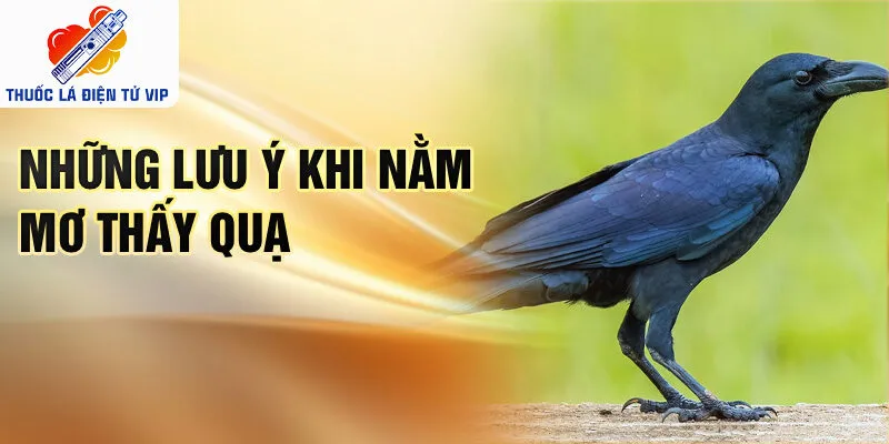 Những lưu ý khi nằm mơ thấy quạ