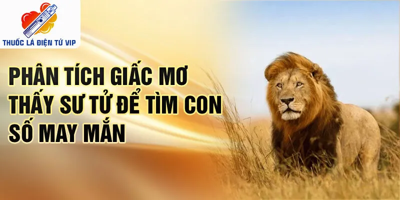 Phân tích giấc mơ thấy sư tử để tìm con số may mắn